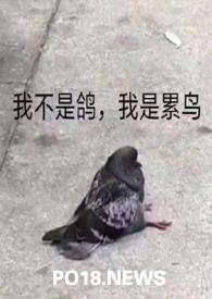 （人外）论活化石的新生活封面